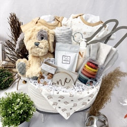 Neutral Tone Baby Gifts are the New Norm by Vancouver Gift Baskets
