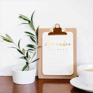 November's Special and Wacky Days: (1st week only)