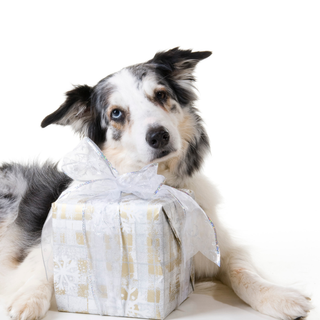 How Do Realtors Make a Closing Gift Feel More Personal?