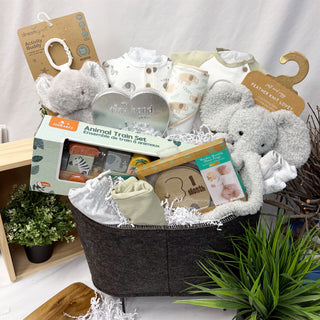 Tiny Trunks & Tender Moments Baby Gift Basket
