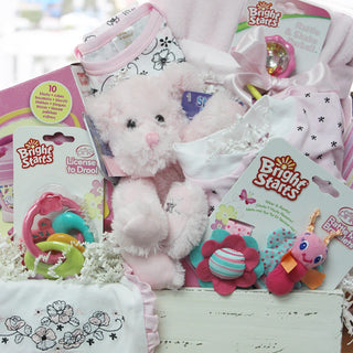 Sugar & Spice and Everything Nice Baby Gift