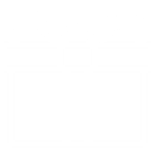 Gift box icon