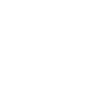 Icon-Trusted-Partner