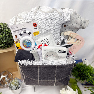 A Whale of a Time Baby Gift Basket